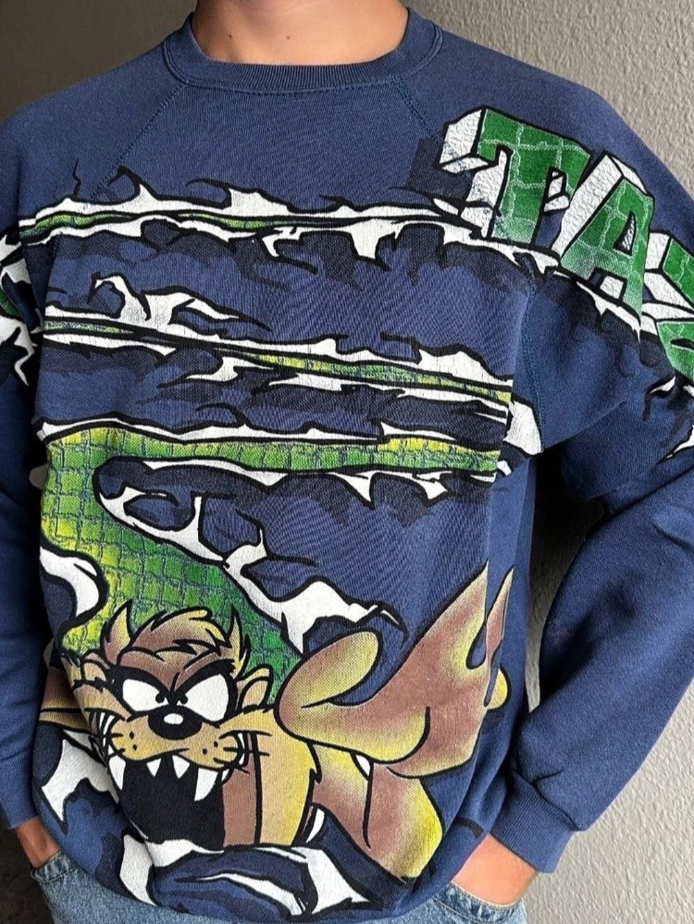 Vintage 1996 Taz Tasmanian Devil AOP Looney Tunes Raglan Sweater